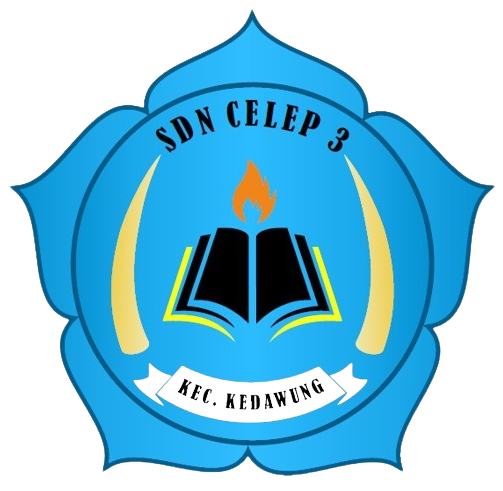 SDN CELEP 3